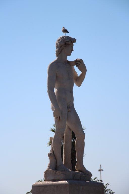 Arrête de me traiter d’oiseau de mauvaise augure, David, alors que je suis là pour t’annoncer une bonne nouvelle. Avec le temps, j’ai appris à te connaître, contrairement aux apparences tu ne restes pas de marbre et, je te vois bien, lorsque vient le mois d’août tu as toujours un coup de mou, j’oserais dire que tu es out. Et bien mon vieux, c’est derrière nous, nous sommes en septembre, et septembre en mer, à Marseille, c’est quelque chose. Alors, vieil homme, arrête d’être amer et regarde la mer. (Photo Philippe Maillé)
