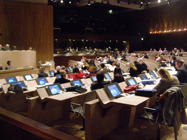 L'adoption du dernier budget de la 3e mandature de Jean-Claude Gaudin était le plat de résistance du copieux menu du conseil municipal de ce lundi 25 mars qui aura duré à peine moins de 6 heures.