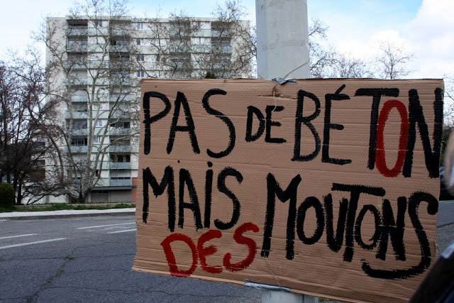Des panneaux revendicatifs qui ne manquaient pas d'humour. (Photo M.M.)