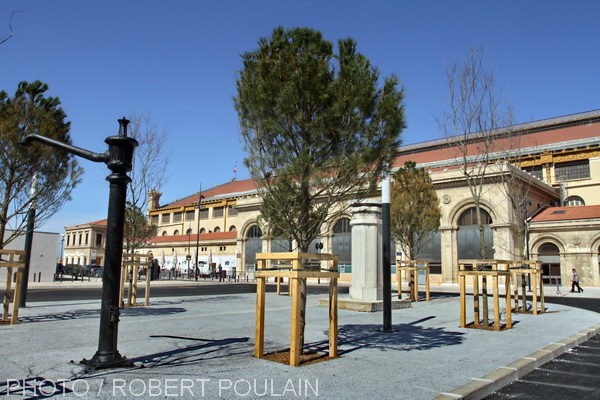 Le nouveau square Narvik