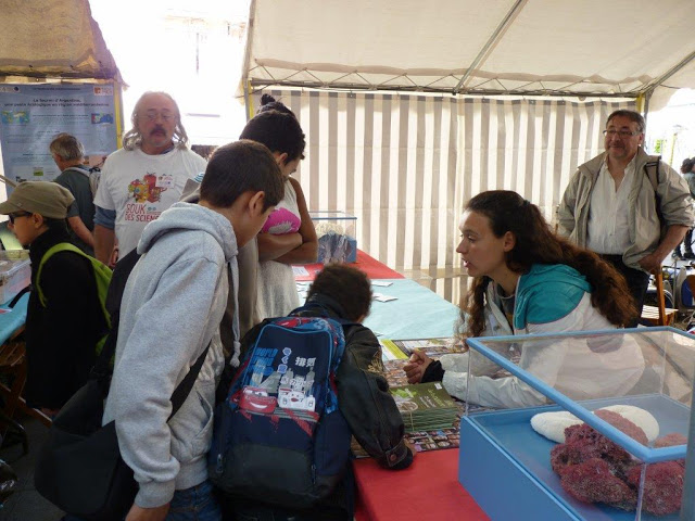 7p1120320-2.jpg