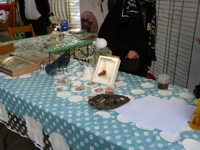 Le peuple des insectes