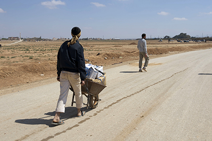 L'indispensable brouette aux usages multiples