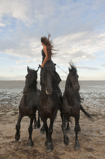 Centaure Camargue (PHOTO PHILIPPE PRALIAUD)