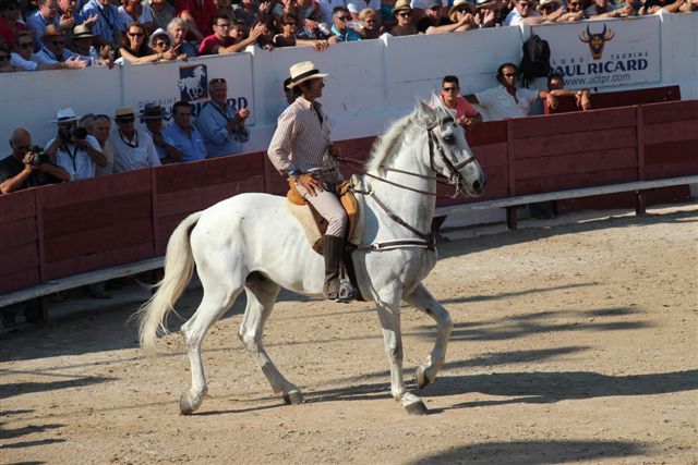 Dans les arènes de Méjanes, Francisco (Paco) Ortiz et son cheval Manguara ovationnés par la foule (PHOTO PHILIPPE MAILLÉ)