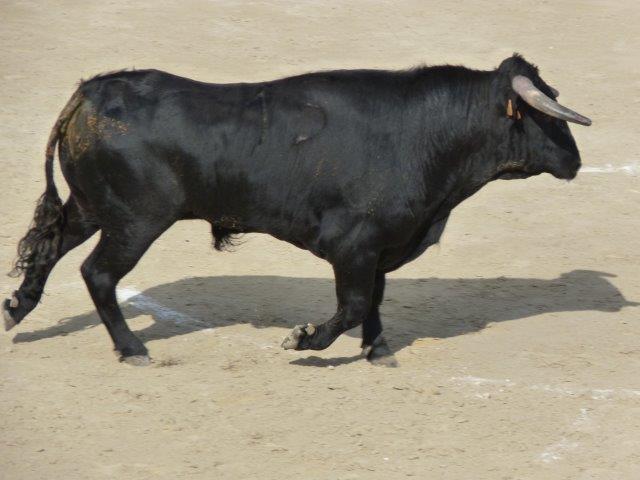 (PHOTO PHILIPPE MAILLÉ)
