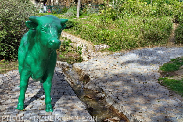 1_img_4827_funny_zoo_marseille.jpg