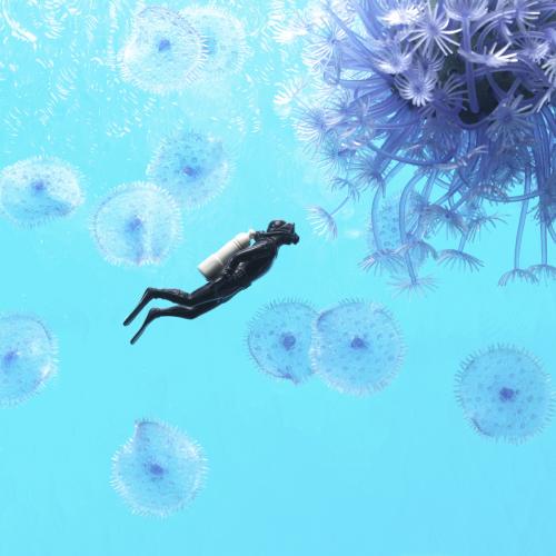 Elisabeth Montagnier "Underwater serenity rencontre" (PHOTO D.R.)