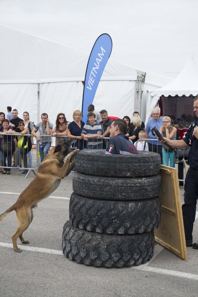 Démonstration des équipes cynotechniques du BMPM (Photo Nedim Imre)
