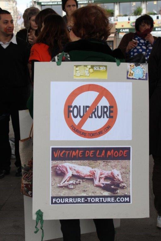 (Photo Philippe Maillé)