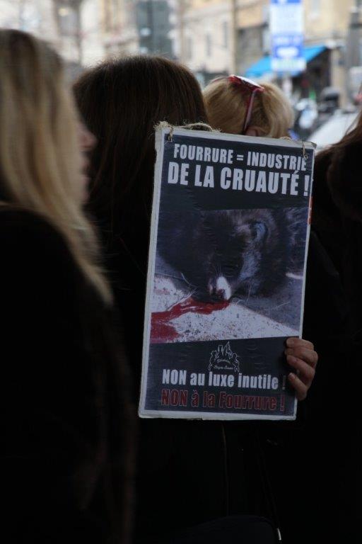 (Photo Philippe Maillé)