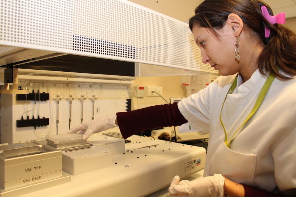 Grace aux tests génétiques, le laboratoire identifie au sein des familles ceux qui sont à haut risque de cancer, car ayant hérité d’un gène muté.