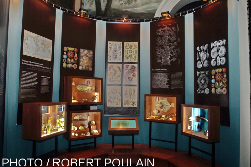 Le Muséum du Palais longchamp présente l'exposition 