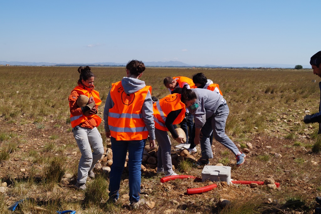 Les carriers ont retroussé leurs manches pour la construction de gîtes à lézard (abris de pierres), dans le cadre de l’une des actions de réaménagement écologique en faveur d’une recolonisation des Coussouls de Crau par le Lézard Ocellé (Photo Unicem Pacac)