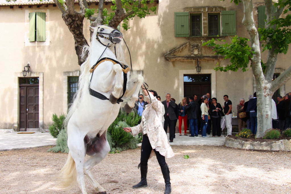 Vincent Liberator, qui propose le Concours des Etoiles de Méjanes, en pleine démonstration  (Photo Philippe Maillé)