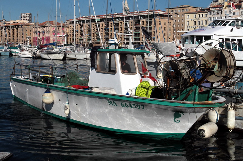 (Photo Robert Poulain)