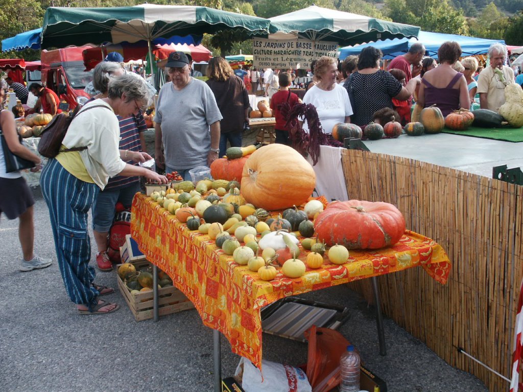 La Fête de la Courge de l'Epine (Photo SMBP) La Fête de la Courge de l'Epine (Photo SMBP)
