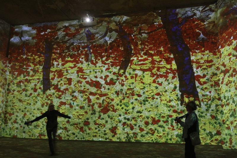 (Photo Robert Poulain)