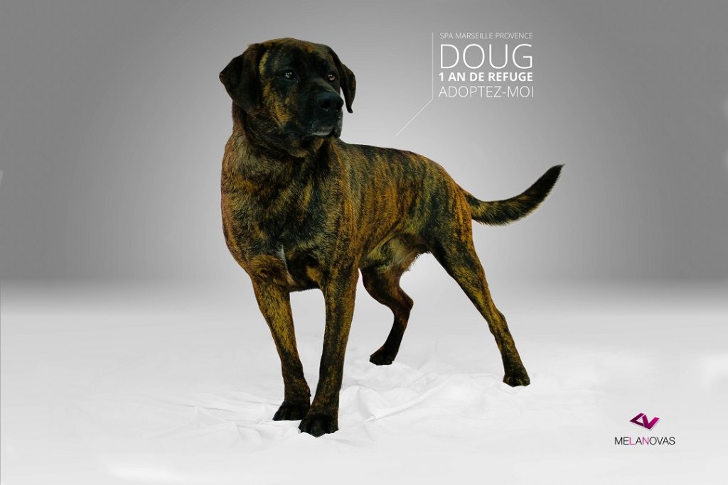 doug-img_9486-text.jpg