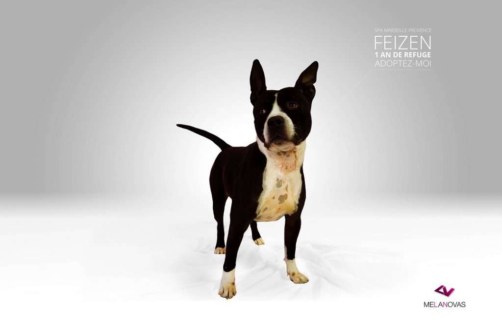 feizen-img_6301-text.jpg