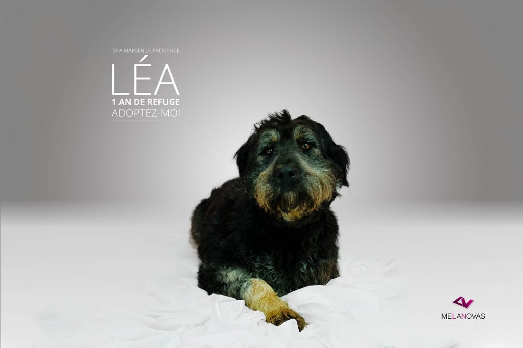 lea-img_8912-text.jpg