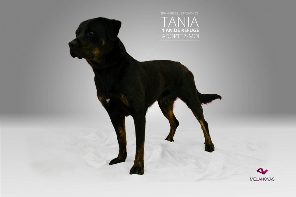 tania-img_8796-text.jpg