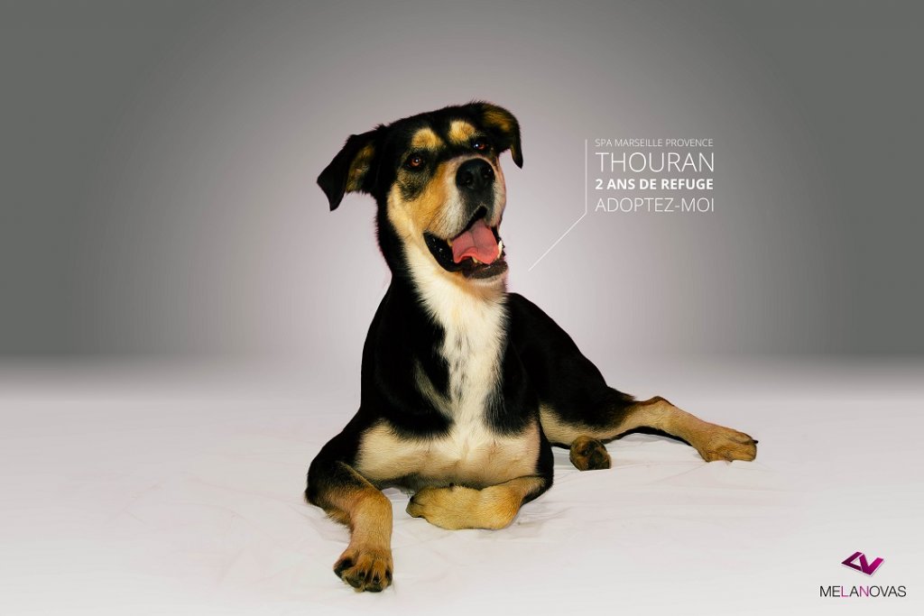 thouran_dsc0011-text.jpg