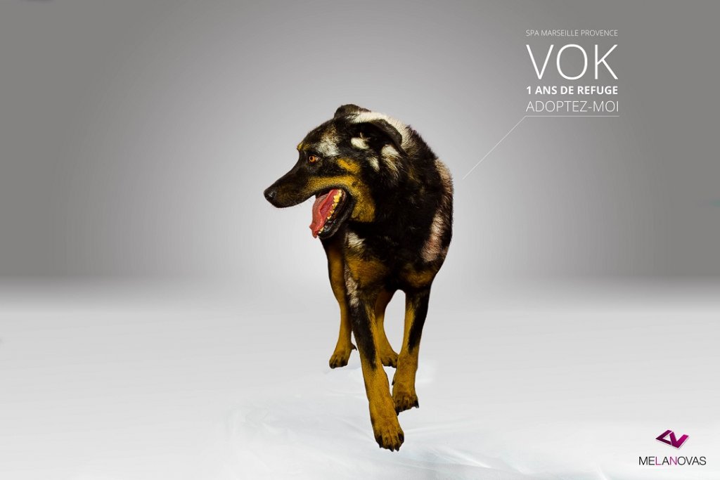 vok_dsc0338-text.jpg