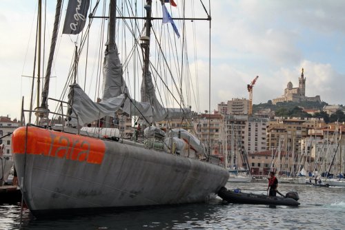 La goélette Tara lors de son escale à Marseille du 20 au 29 septembre (Photo Robert Poulain)