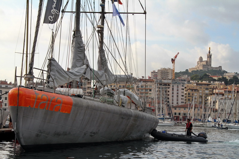 Goélette Tara à Marseille lors de son expédition en Méditerranée réalisée de mai à novembre 2014 (Photo Robert Poulain)