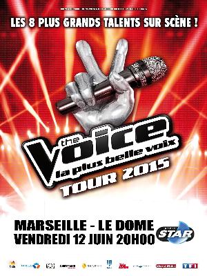 the_voice_tour.jpg