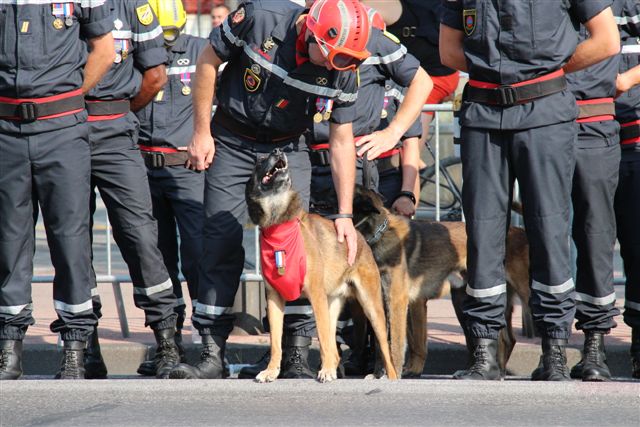 Défilé 2014 (Photo Philippe Maillé)