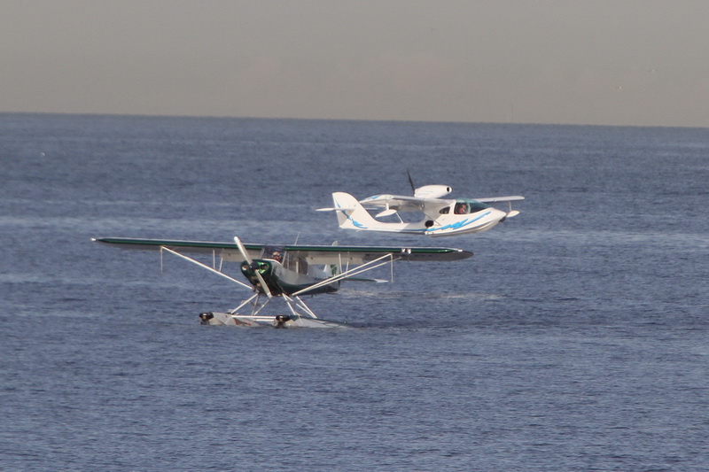 Des hydravions ont amerri et ont rejoint le quai d'honneur du Vieux-Port (Photo Robert Poulain)