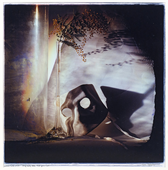 Tony Catany, Nature morte N°24, Photographie 80 x 80 cm, Collection Fondation Regards de Provence.