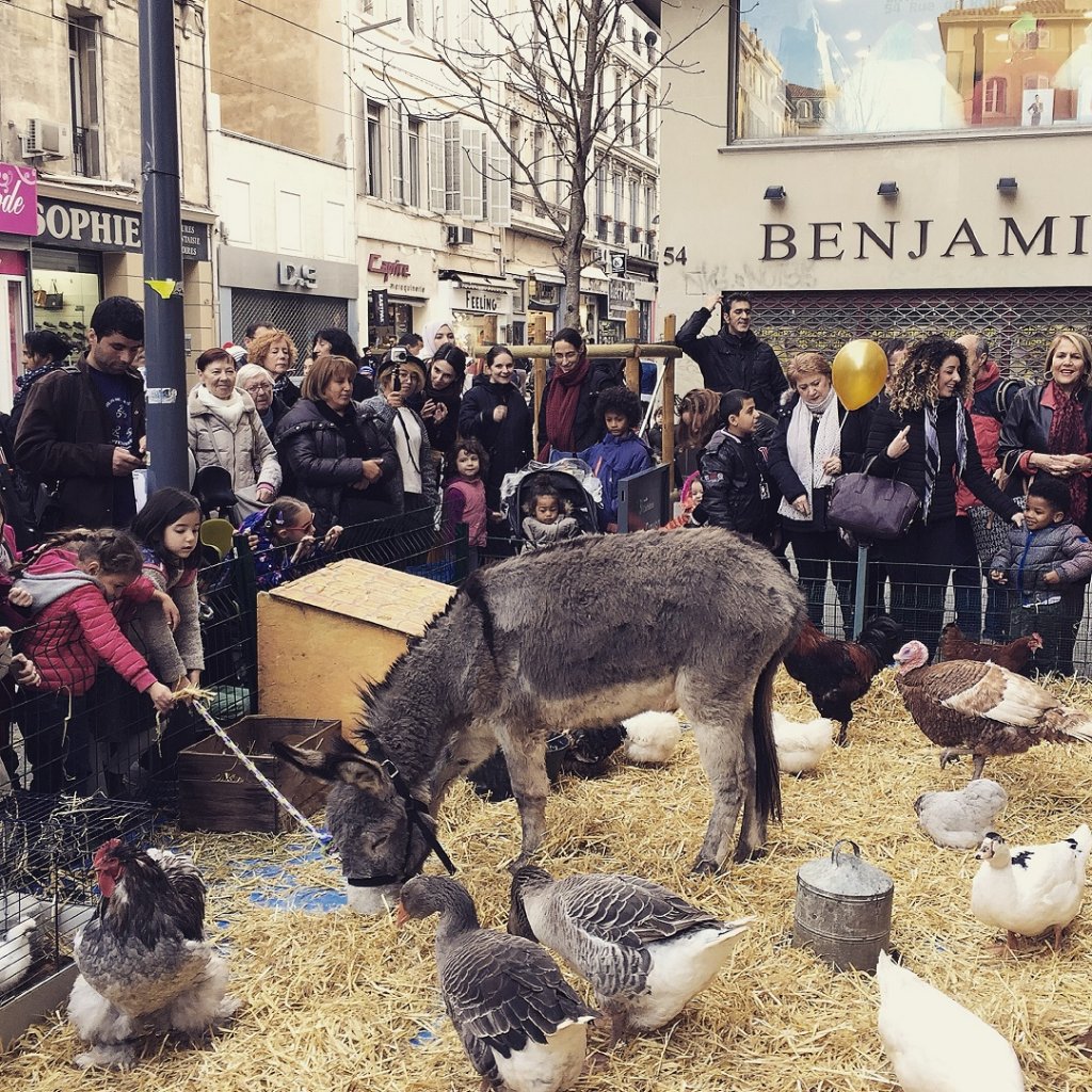 La ferme s'est invitée à la rue de Rome (Photo J.H.)