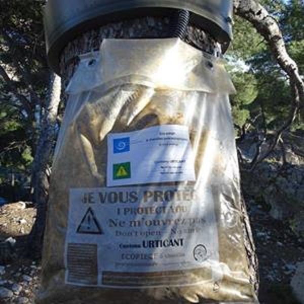 (Photo Parc national des Calanques)
