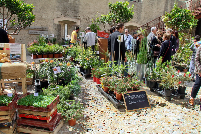 (Photo Robert Poulain)