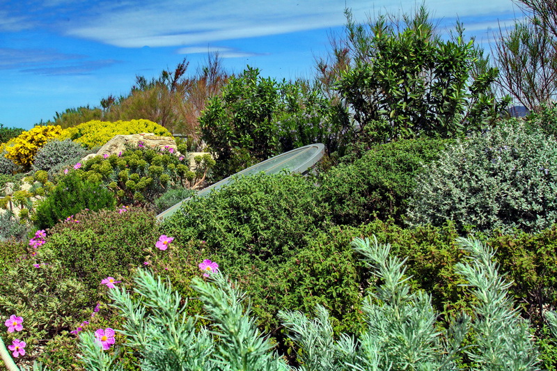 (Photo Robert Poulain)