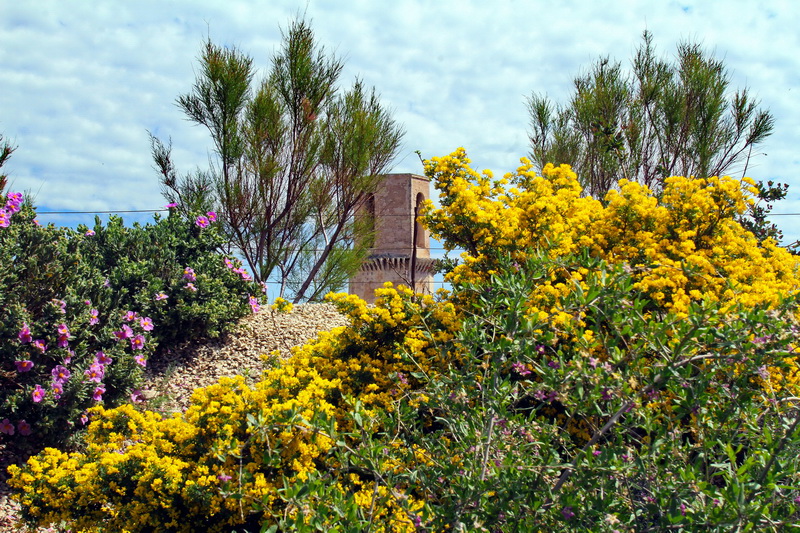 (Photo Robert Poulain)