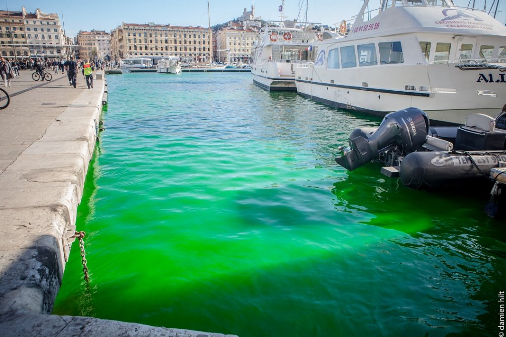 Le Vieux-Port s'est mis au vert (Photo BMPM-Damien Hilt)