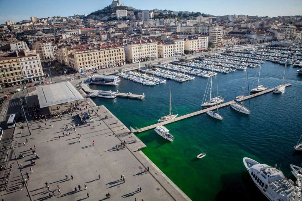 Le vert investit le Vieux-Port, les Ecolos ne vont pas être contents (Photo BMPM - Damien Hilt)