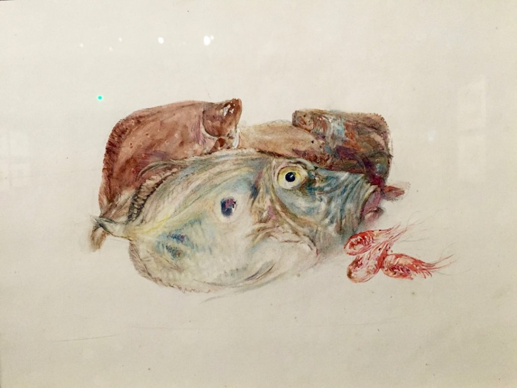 Turner naturaliste avec cette charmante étude de poissons et crevettes prêtée par The Ashmolean Museum d’Oxford (Photo M.E.)