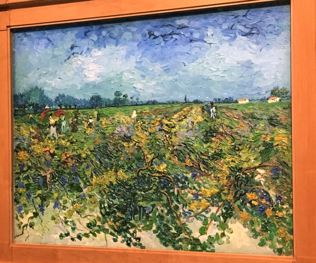 La Vigne verte (Photo M.E.)