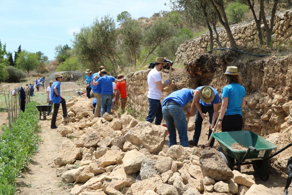 réhabilitation d'un muret en restanque (Photo D.R.) réhabilitation d'un muret en restanque (Photo D.R.)