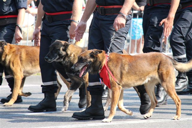 (Photo Philippe Maillé)