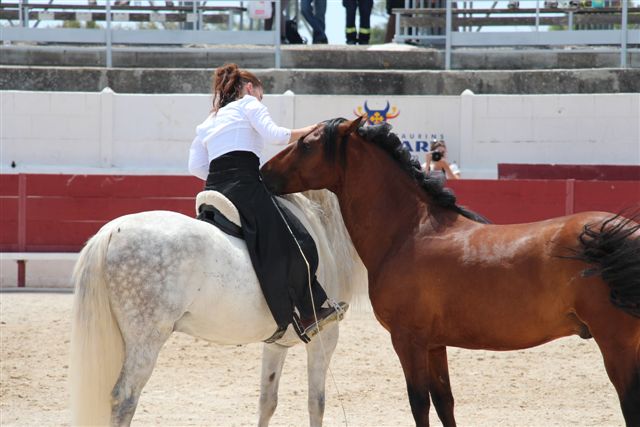 (Photo Philippe Maillé)