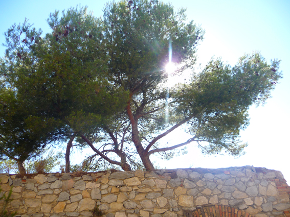 La nature reprend ses droits (Photo A.L.)