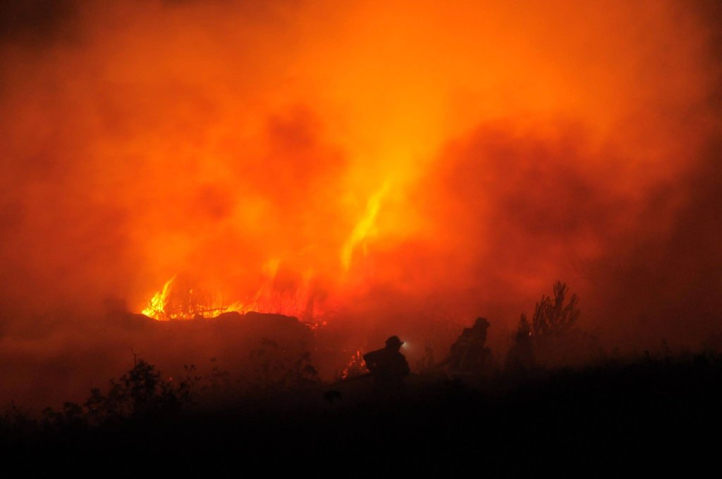 Feu des calanques (Photo Pompiers 13)