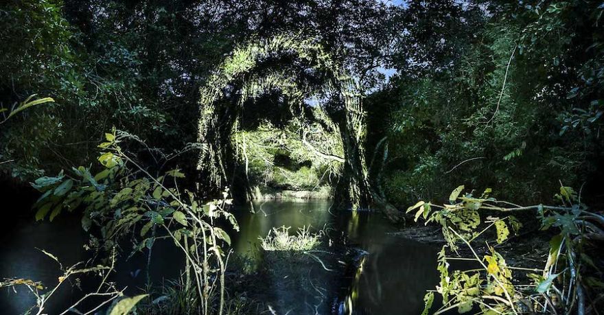 Première Mondiale : du Street Art au cœur de la Forêt Amazonienne © Philippe Echaroux