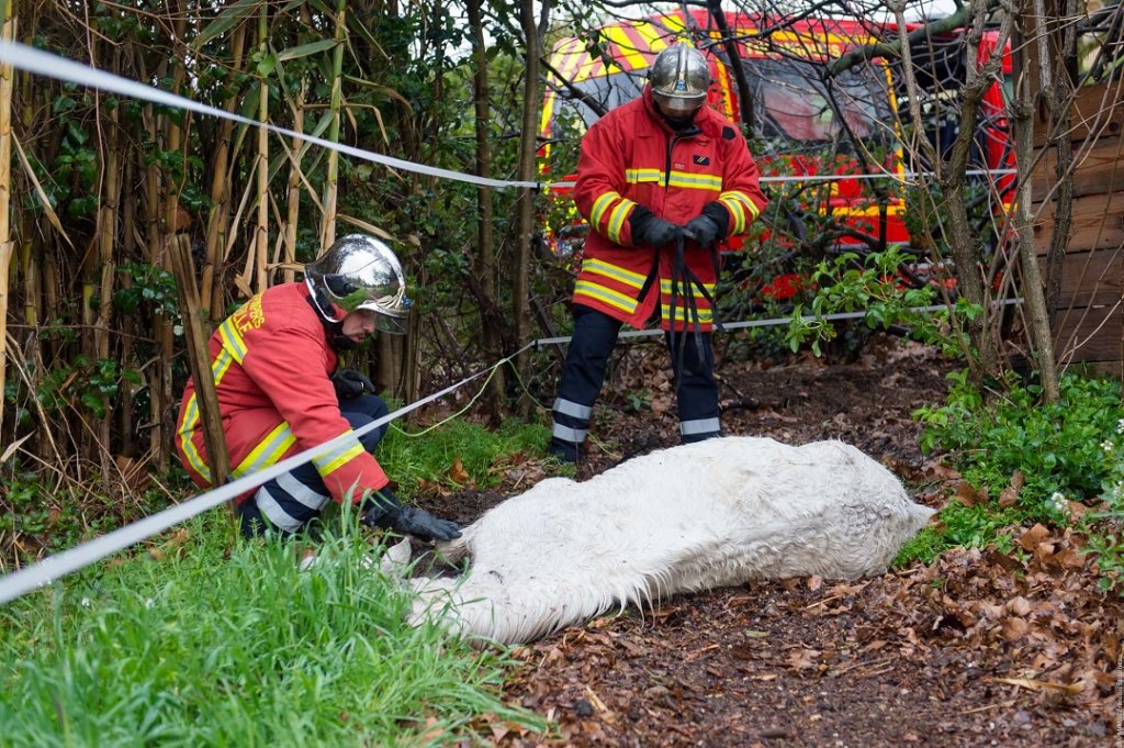 (Photo: BMPM/SM F.Etourneau)